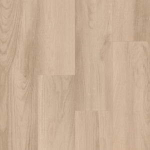 rock hall maple