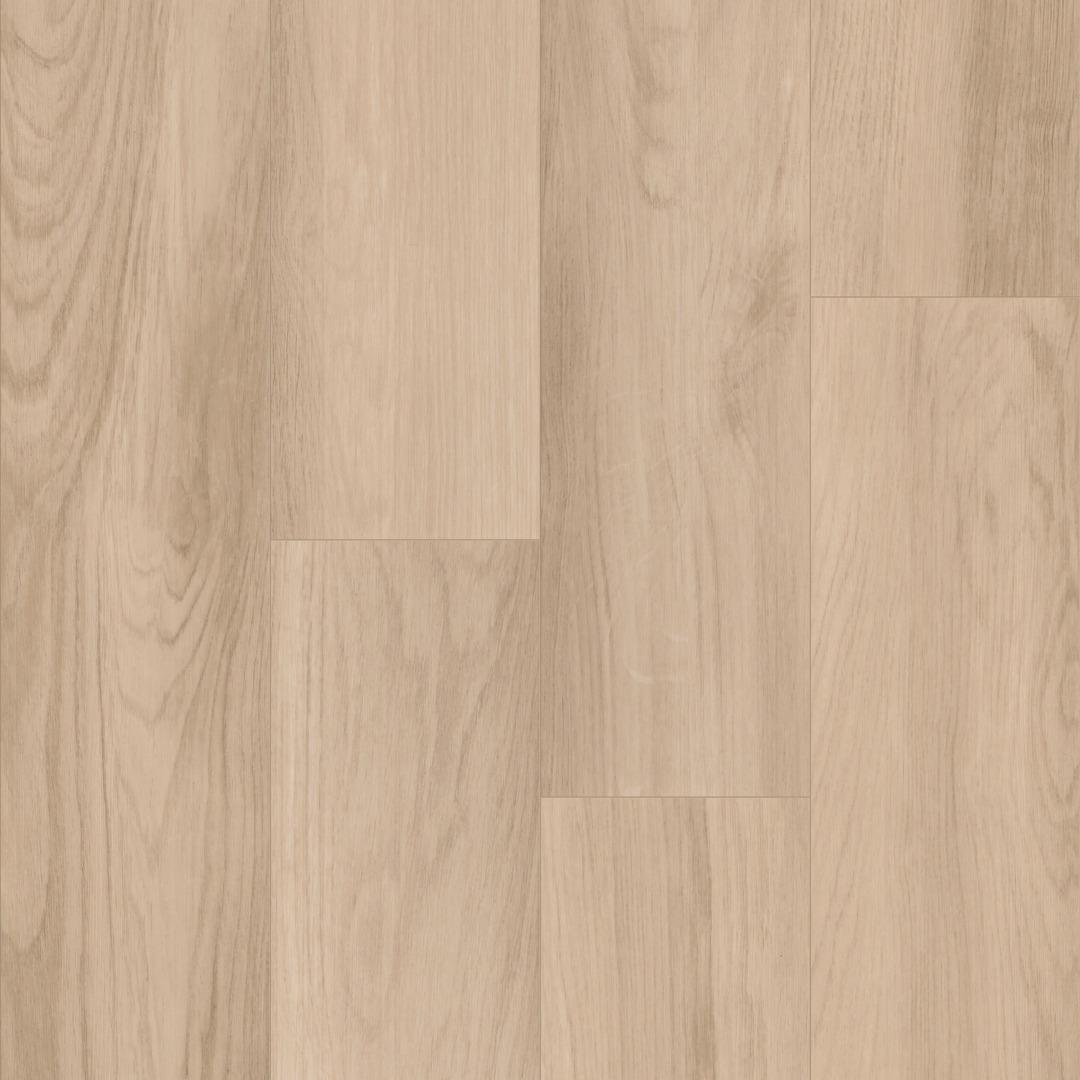 rock hall maple