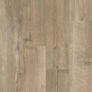 bear oak