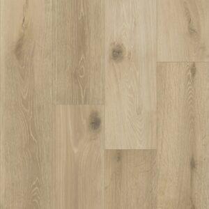 shiloh oak