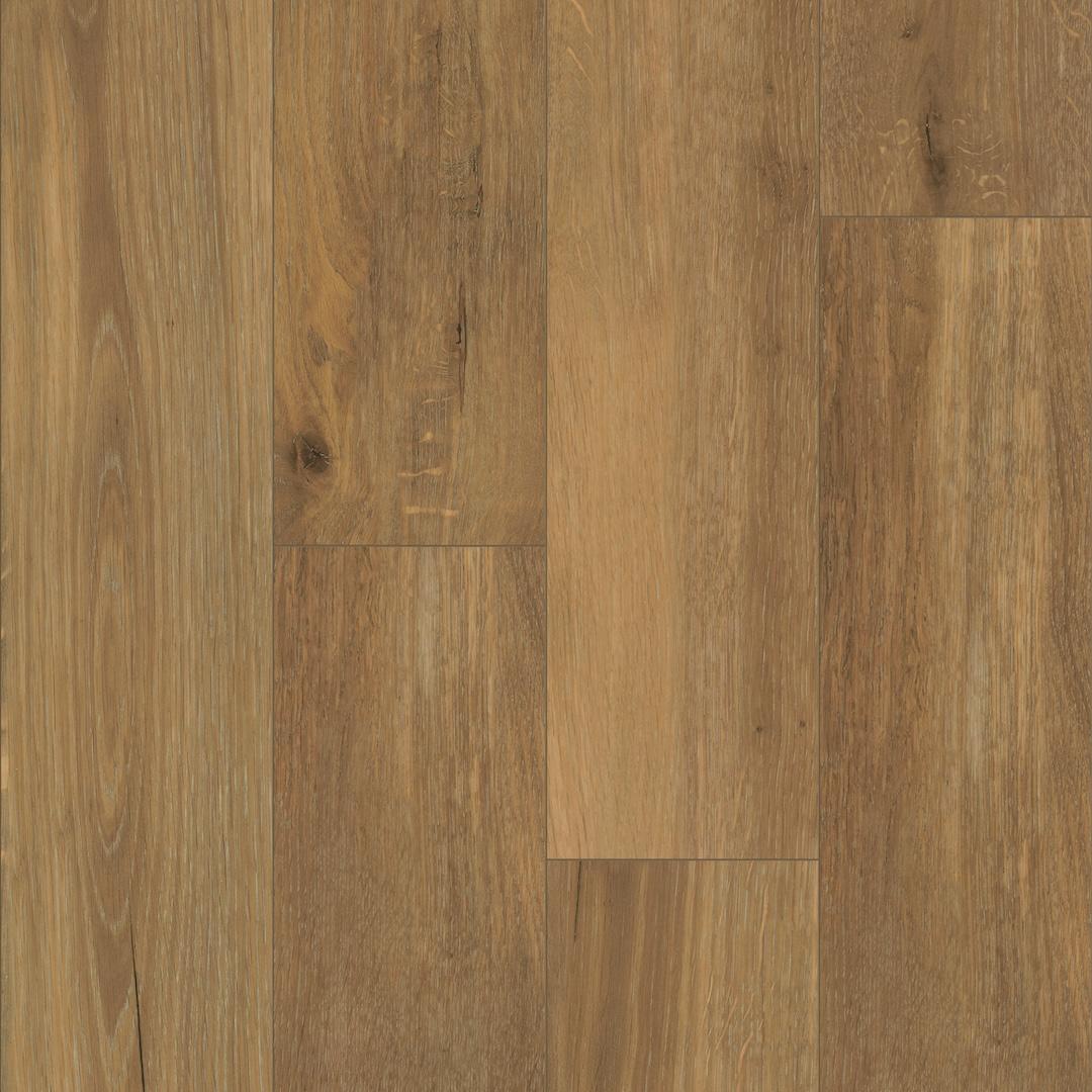 seven pines oak