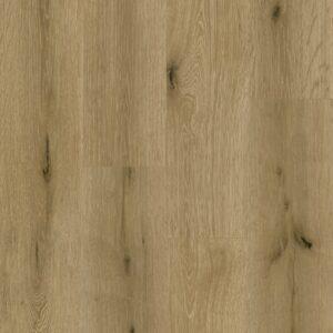 yorktown oak