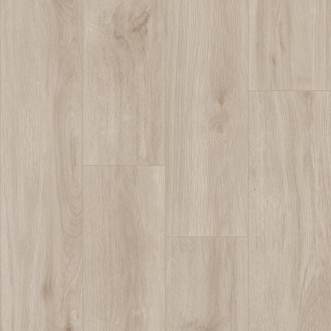 kent island oak