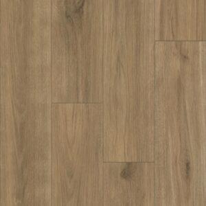 bombay hook oak