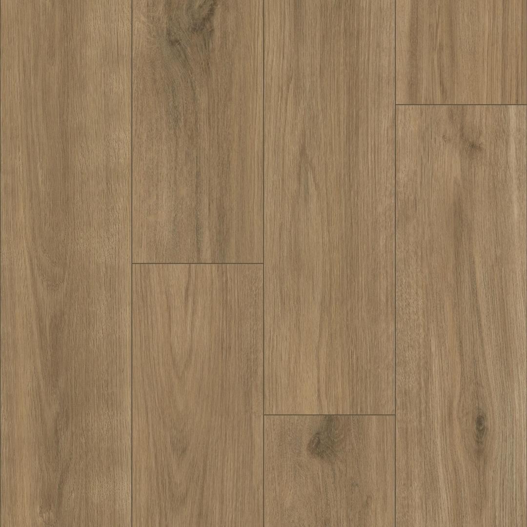 bombay hook oak