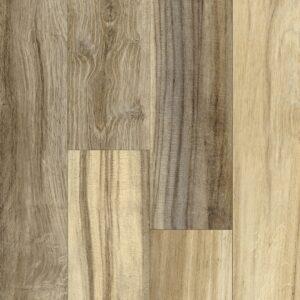 black bird teak