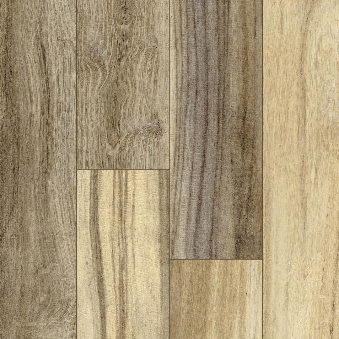 black bird teak